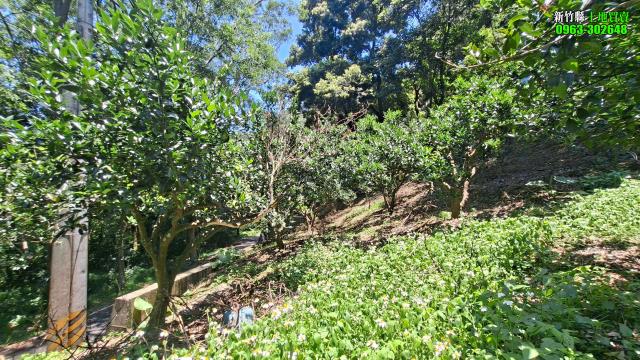 新竹北埔農地-3