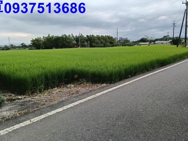 宜蘭頭城農地-1