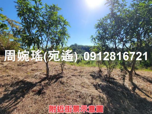 左鎮農地-12