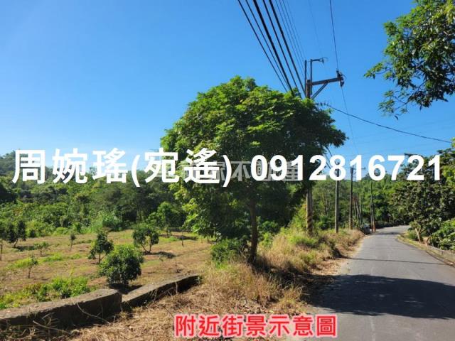 左鎮農地-13