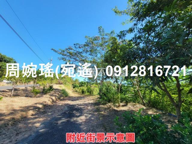 左鎮農地-15