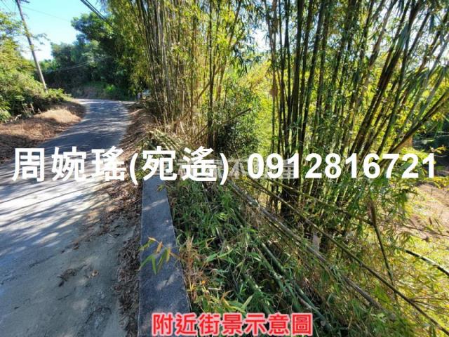 左鎮農地-6