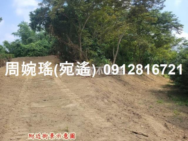 左鎮農地-5