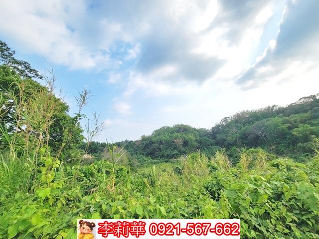 新化林地-12