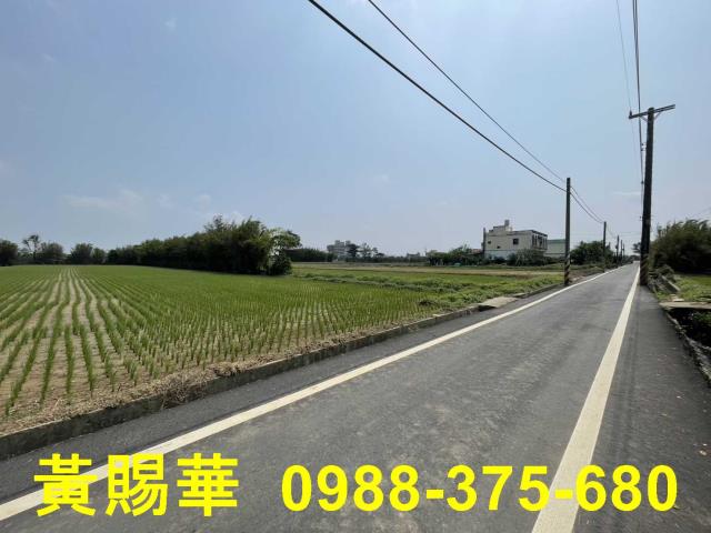 觀音農地-2