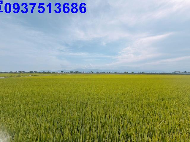 宜蘭壯圍農地-12