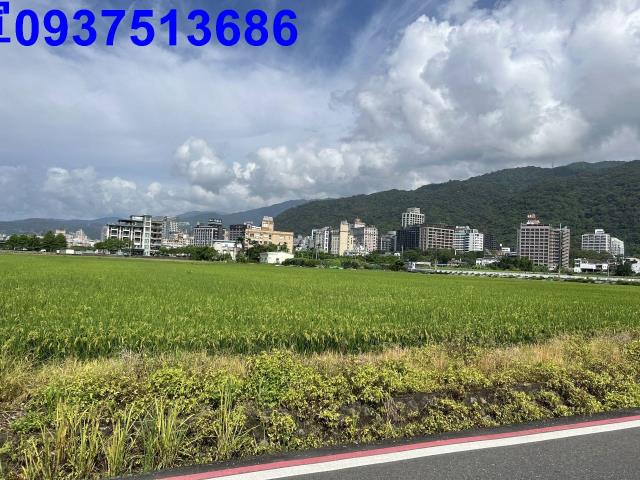 宜蘭礁溪農地-4