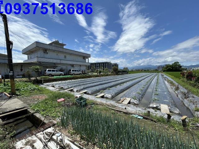 宜蘭宜蘭市農地-2