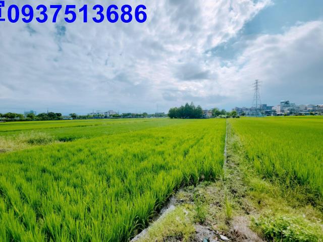 宜蘭宜蘭市農地-11
