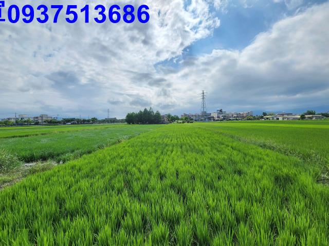 宜蘭宜蘭市農地-7