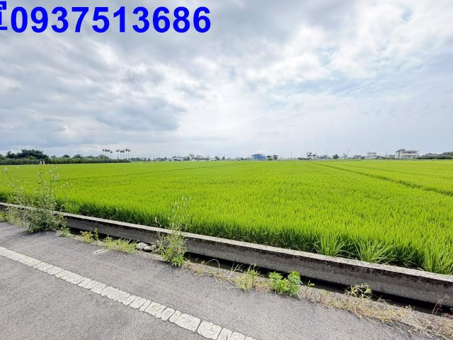 宜蘭礁溪農地-8