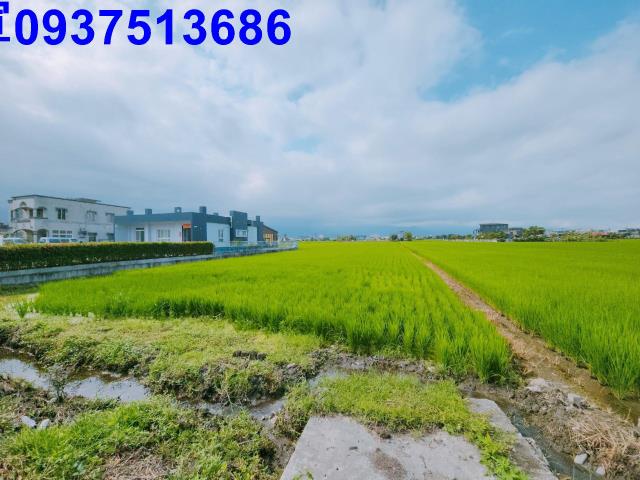 宜蘭宜蘭市農地-3