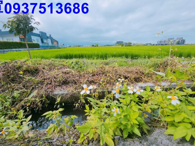 宜蘭宜蘭市農地-5