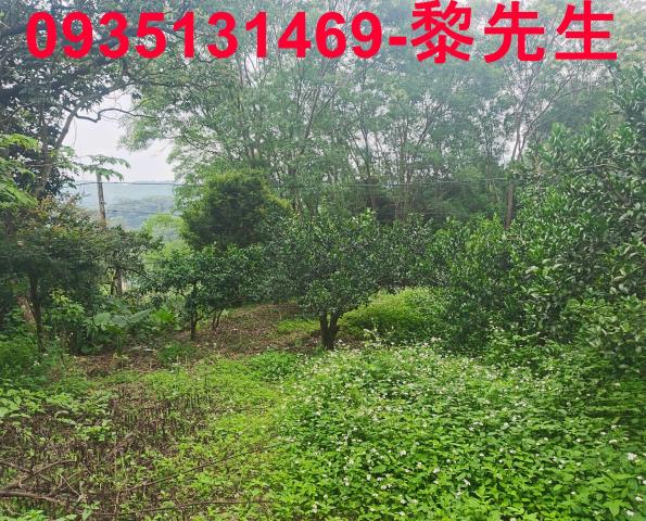北埔農地-15