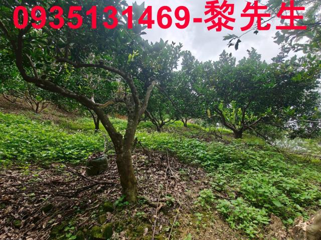 北埔農地-5