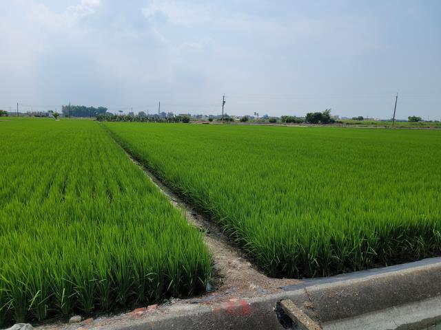 六腳農地-6