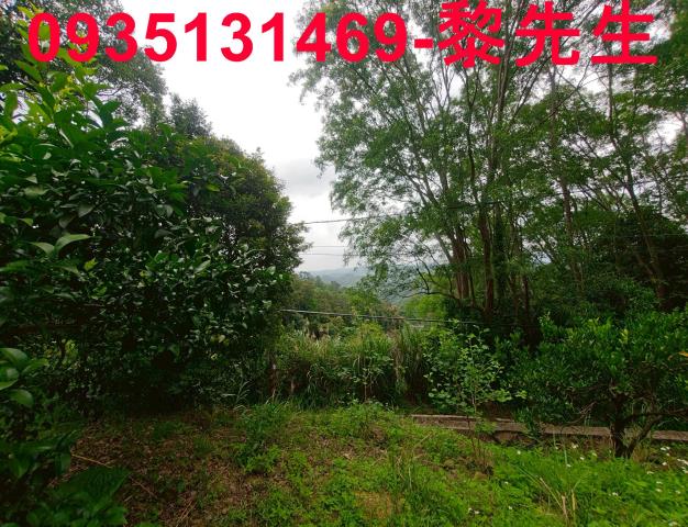 新竹北埔農地-11