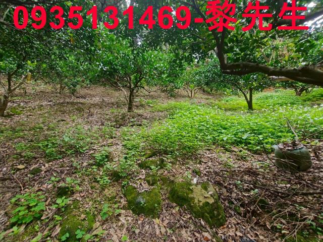 新竹北埔農地-14