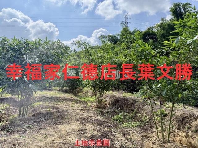 台南關廟農地-12