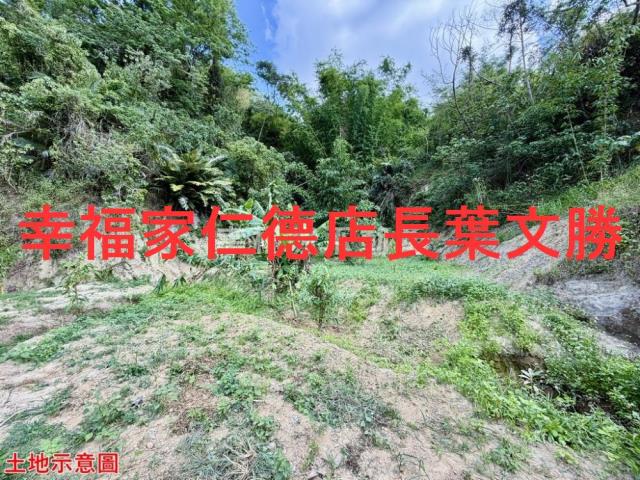 台南關廟農地-14