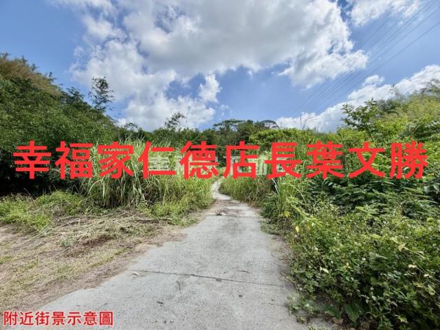 台南關廟農地-3