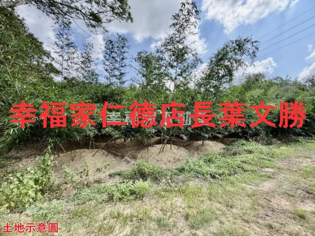 台南關廟農地-5