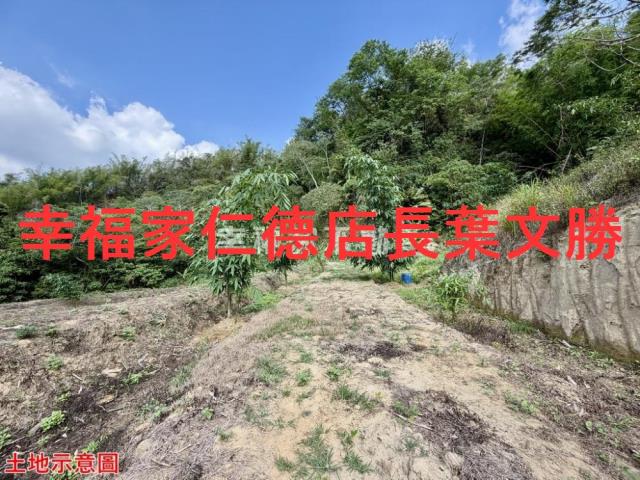 台南關廟農地-8