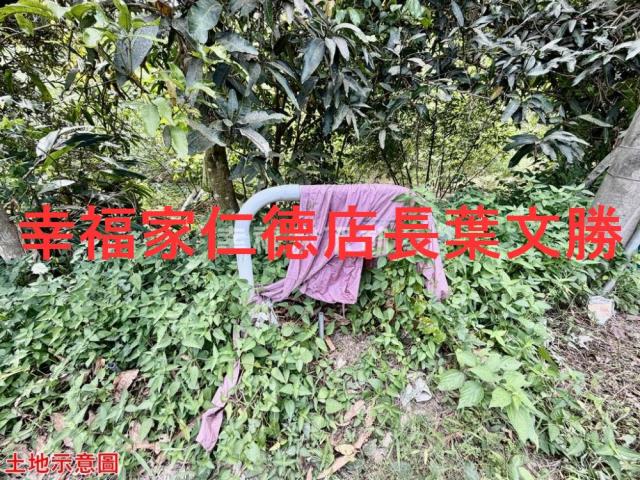 台南關廟農地-9