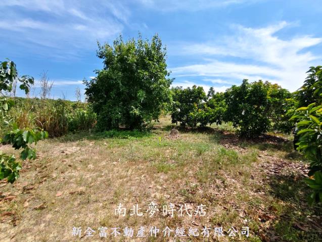 台南玉井農地-15