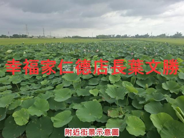 台南白河農地-2