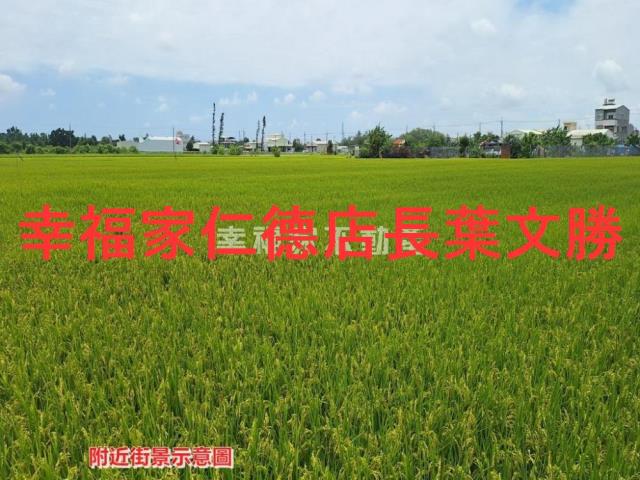 台南柳營農地-8