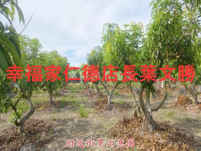 官田農地-2