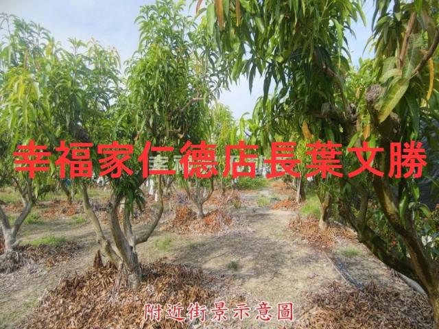 官田農地-5