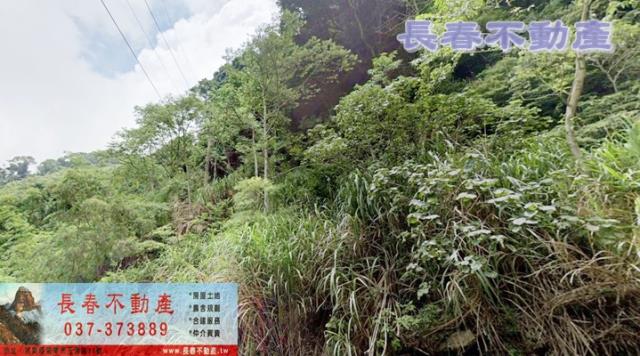 泰安山坡地-3
