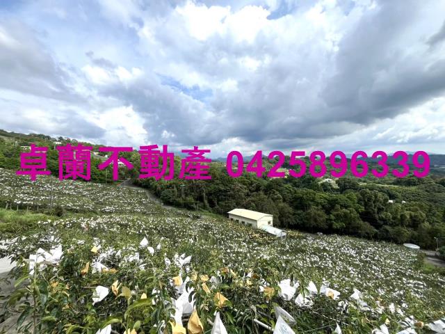 卓蘭農地-4