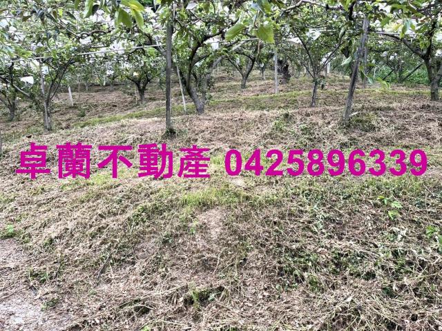 卓蘭農地-9