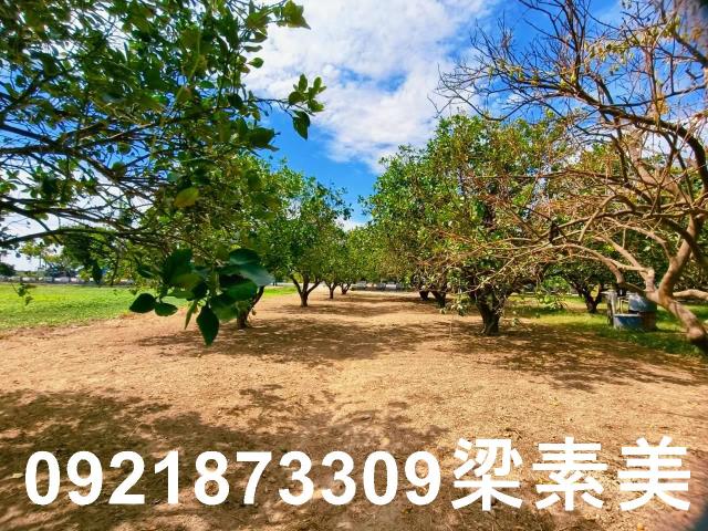 台南佳里農地-6