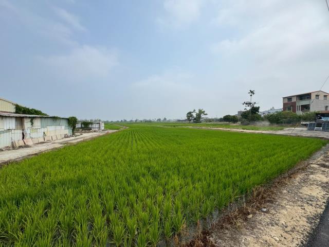 嘉義民雄農地-2
