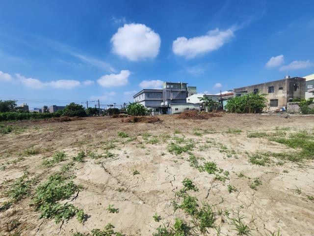 高雄路竹農地-9