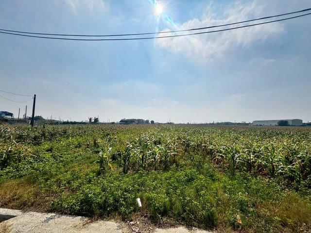 嘉義東石農地-4