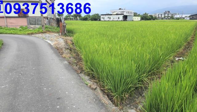 宜蘭壯圍農地-1