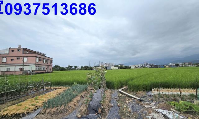 宜蘭壯圍農地-2