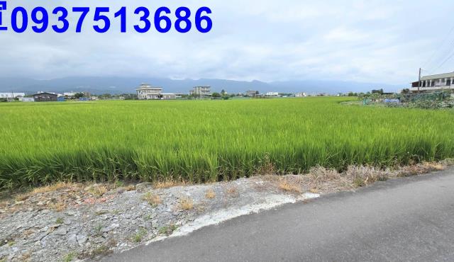 宜蘭壯圍農地-3