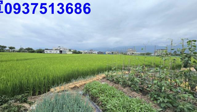 宜蘭壯圍農地-5