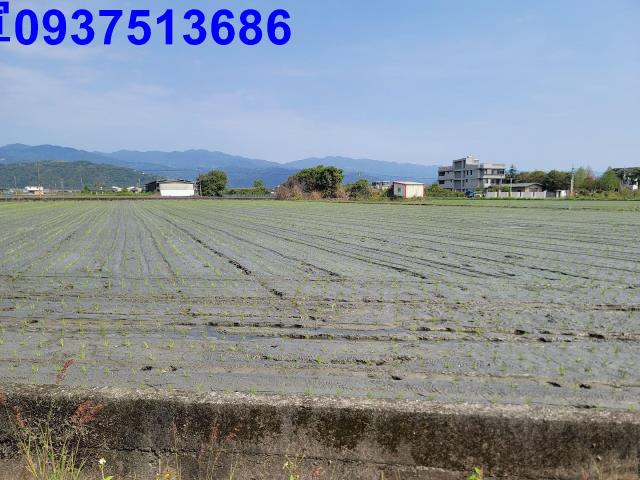 員山農地-5