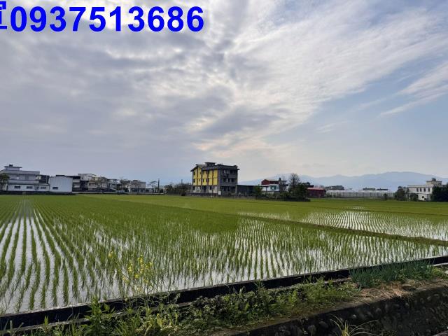 壯圍農地-9