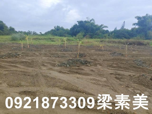 關廟農地-5