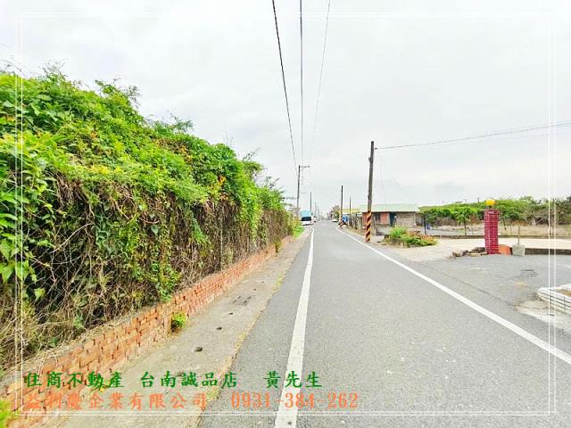591黃培倫591