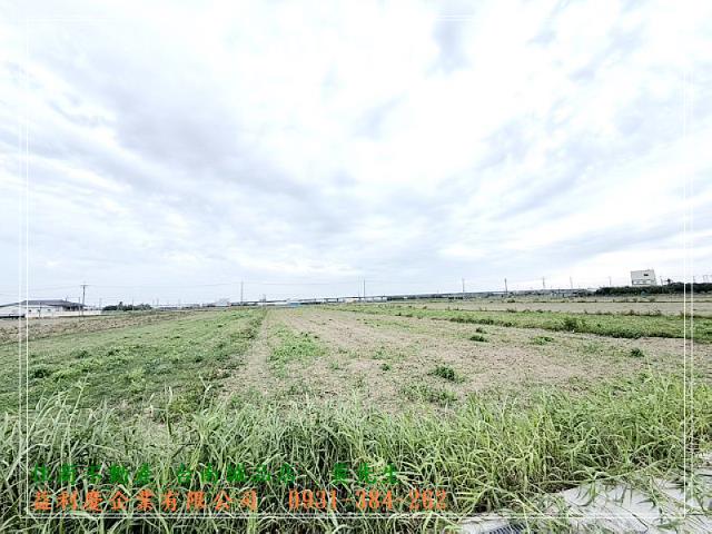 正環營南路前後路美農