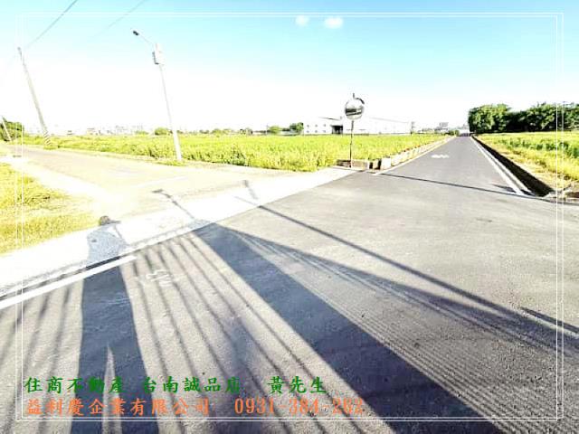 591黃培倫591